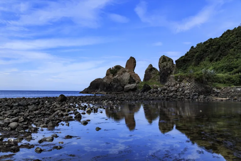 湊の立神岩
