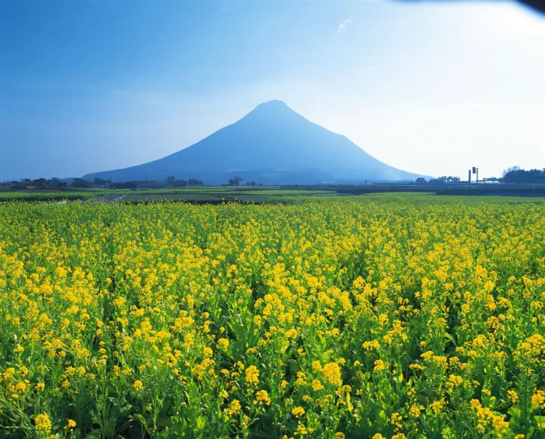開聞岳
