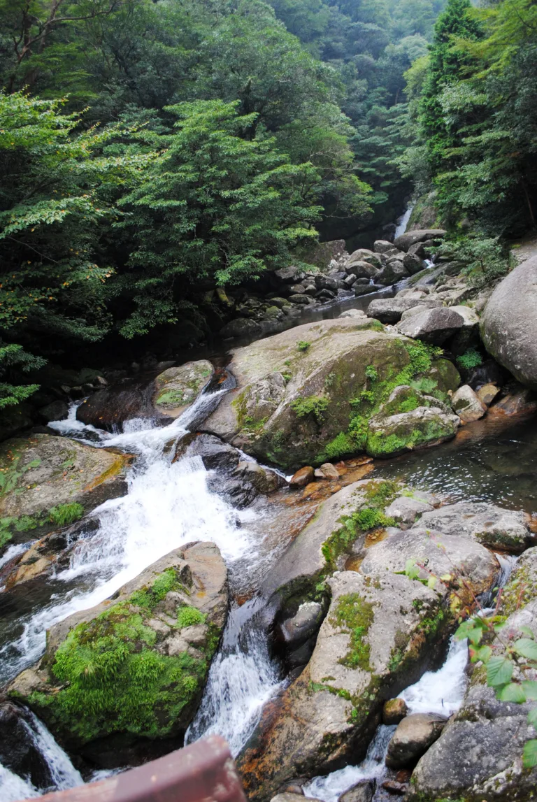 白谷雲水峡