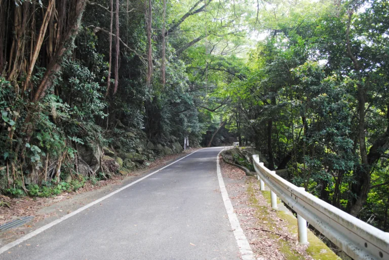 西部林道