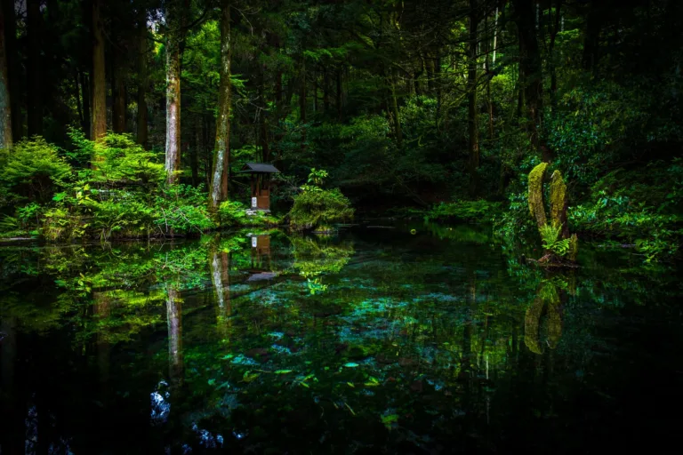 池山水源