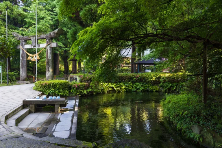 白川水源