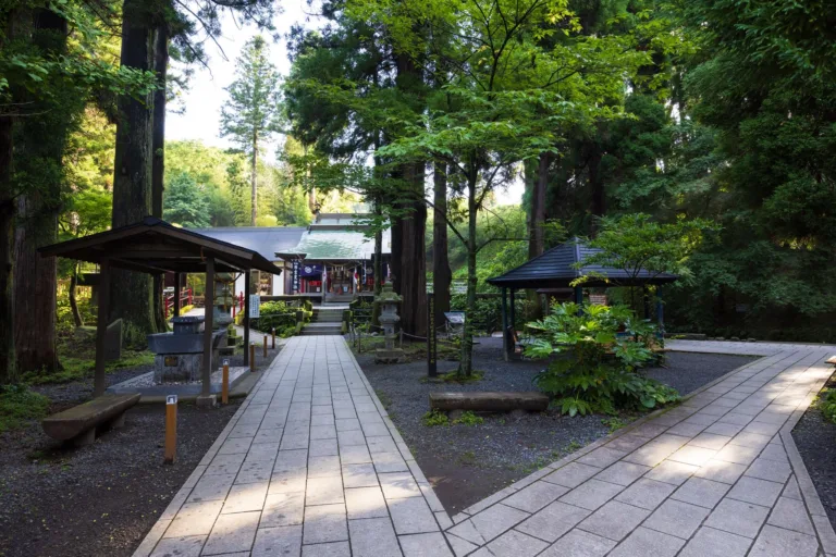 白川水源