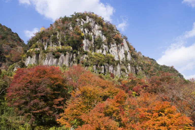 一目八景展望台